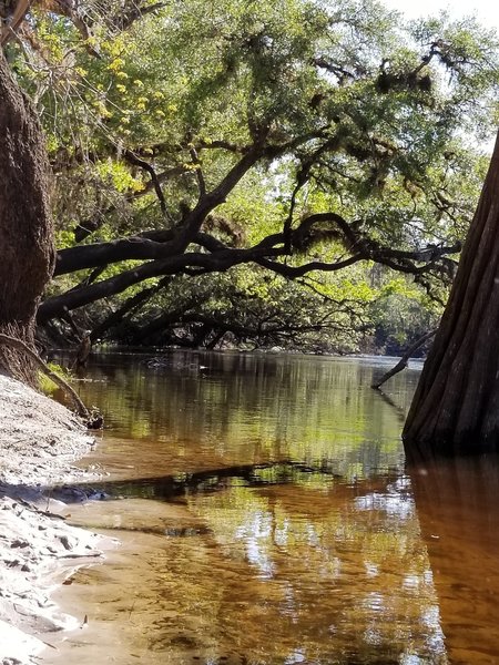 Kolokee Loop Trail