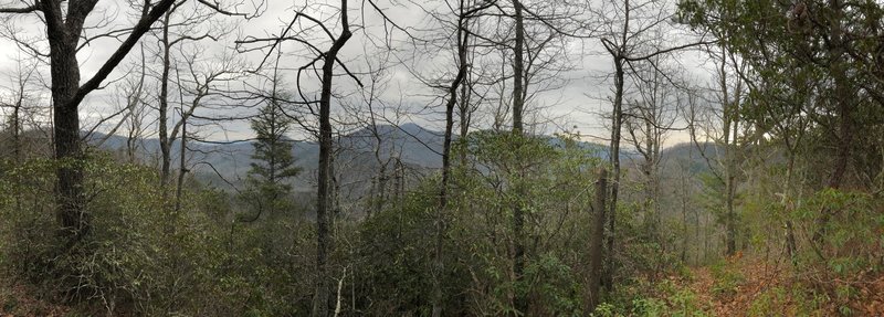 View looking eastward from Buckeye Knob