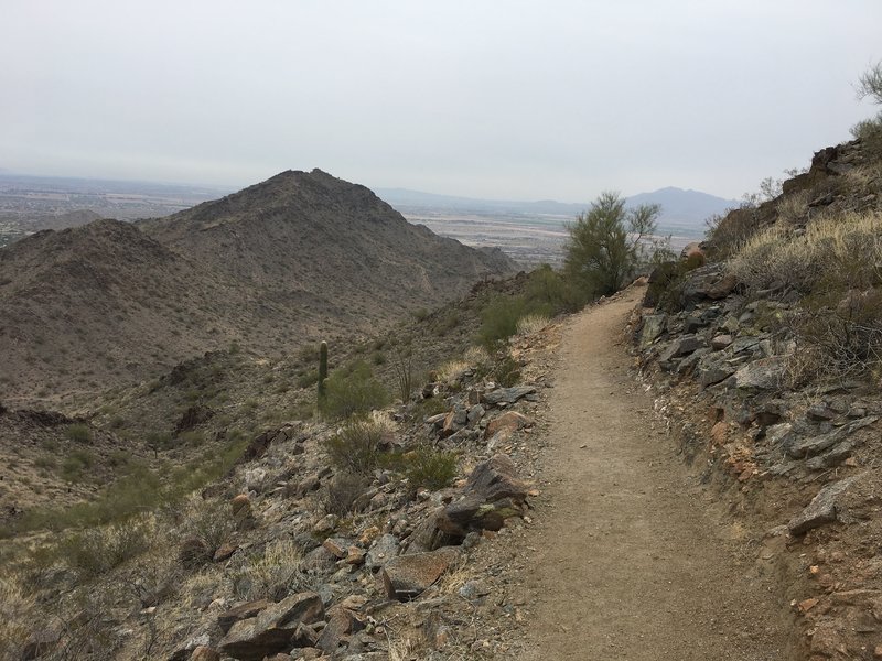 Along Skyline Crest looking Southeast