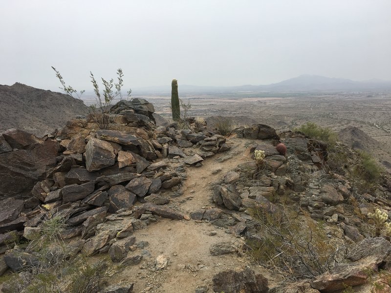 A view from the summit.