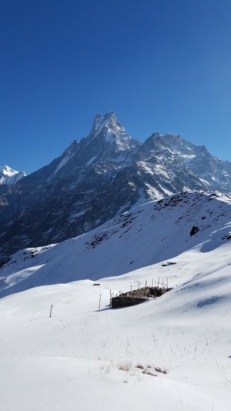 Mt. Machapuchare (Fishtail mountain)