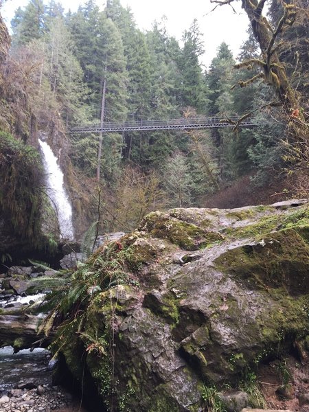 The 65 foot Drift Creek Falls with the 240 foot suspension bridge in the background.