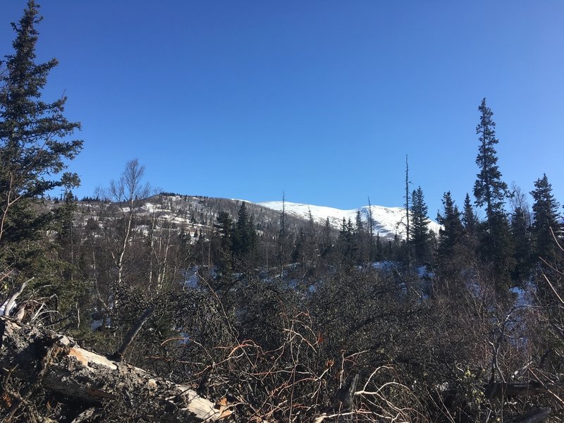 Look at Dome Trail summit