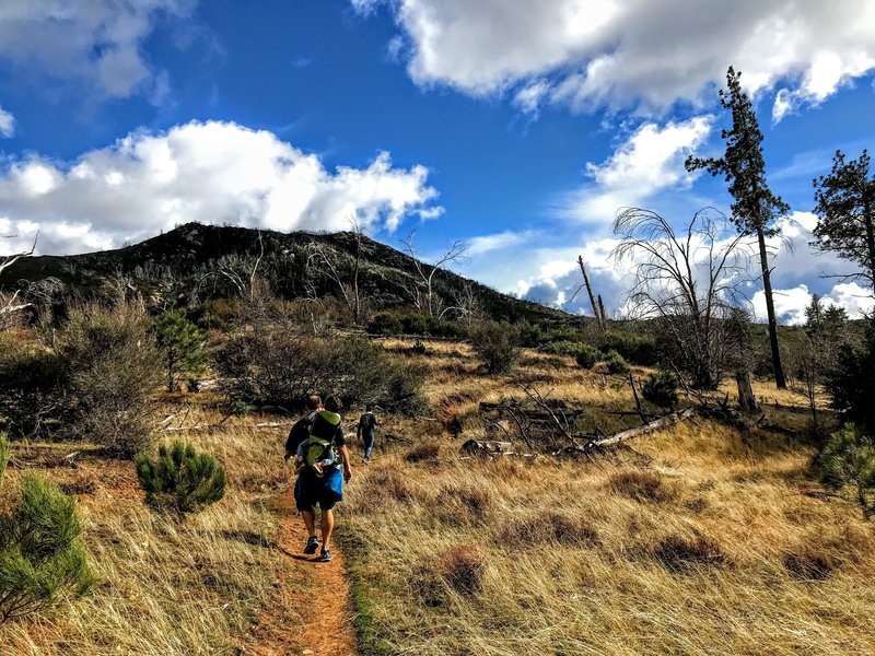 Stonewall Peak from the Cold Stream Trail