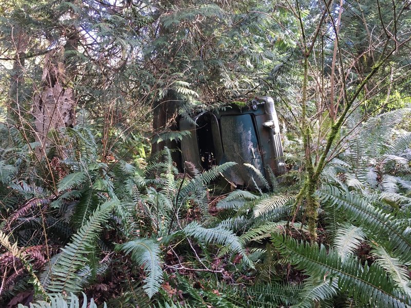 The old wrecked car off of Bluff Trail