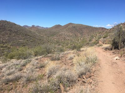 Looking north near the trailhead at parking area #4