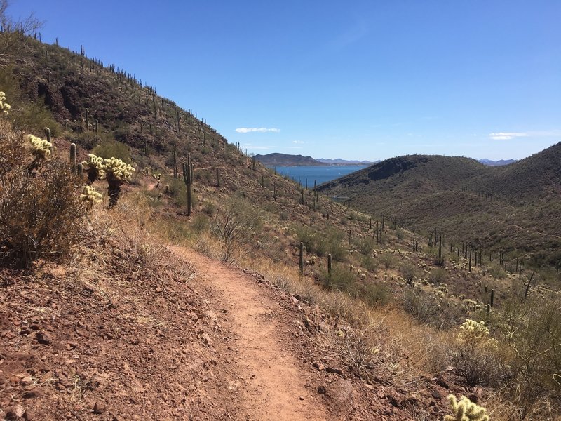 A glimpse of the lake on the way up to Yavapai Point