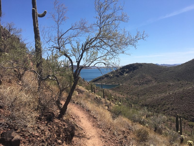 On the way to the top of Yavapai Point