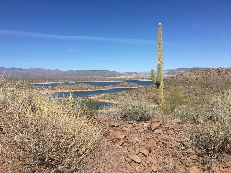 Lake Pleasant along the trail to Yavapai Point