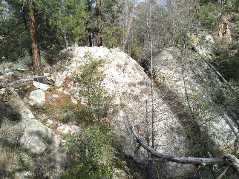 A flowing waterfall among oaks, junipers, and pines just off the trail in Romero Canyon