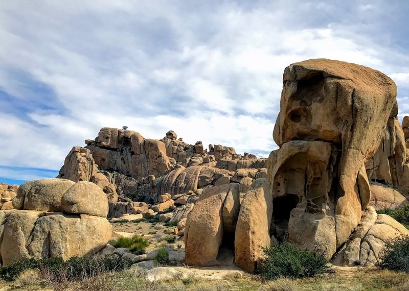 Skull-like rock formation