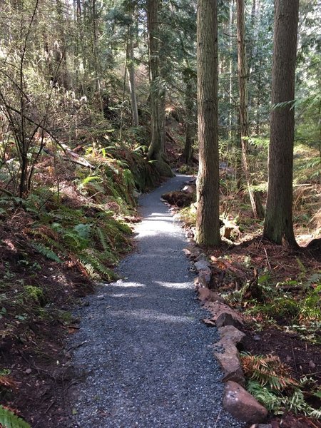 Looking down the trail.