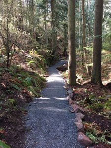 Looking down the trail.