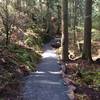 Looking down the trail.