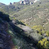 Path against side of mountain. Has small amounts of running water coming down mountain, making trail muddy