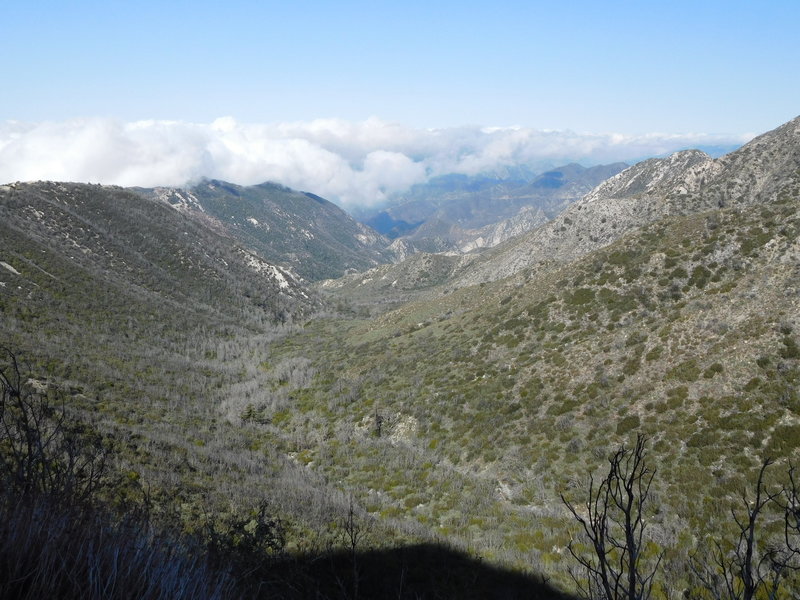 Upper Bear Canyon with Brown Mountain