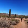 On the Waddell Trail