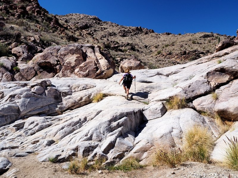 Climbing one of the granite ledges in Ford Canyon