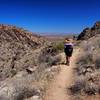 Phoenix from the Mesquite Canyon Trail