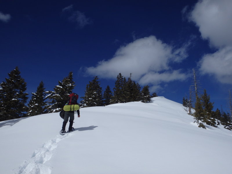 Approaching the summit