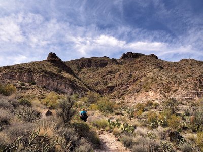 Along the Elephant Mountain Trail
