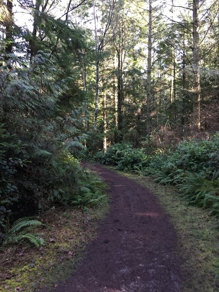 The trail, as you can see it gets slightly muddy in the winter.