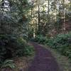 The trail, as you can see it gets slightly muddy in the winter.