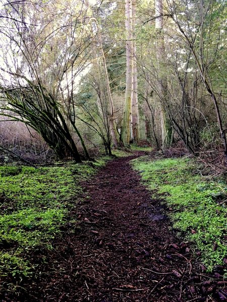 This trail is super gorgeous!