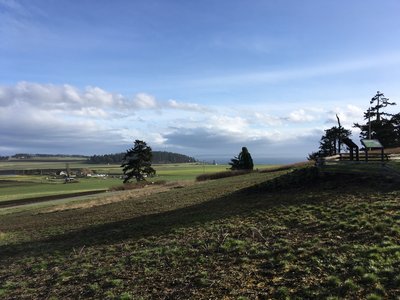 Looking SW over the prairie.
