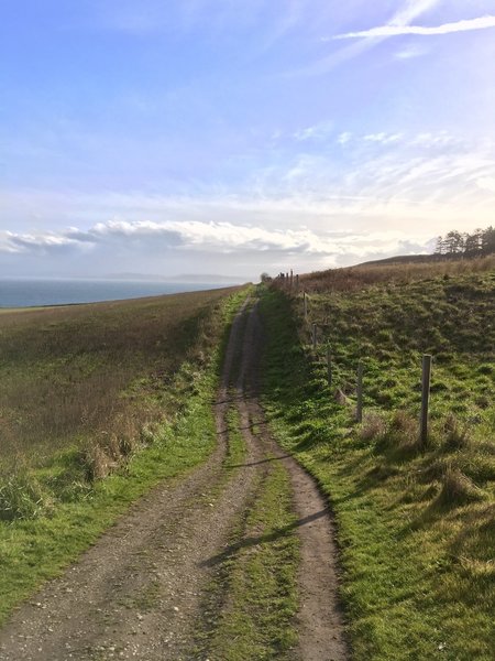 The trail heading west.