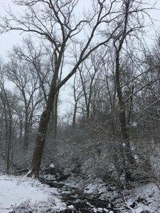 One of the multiple creek crossings on the North Nature Trail