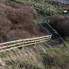 Stairs leading up/down the bluff.