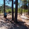 Trail junction at Marshall Saddle