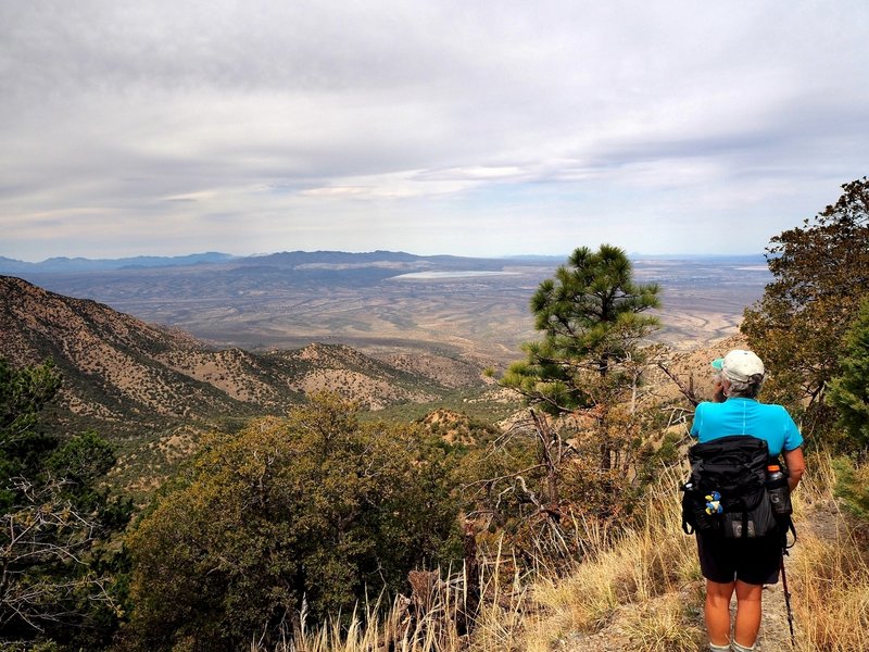 View from the Bog Springs Trail