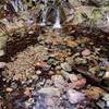 Pool at the base of the small waterfall