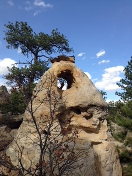 Very cool geology in Austin Bluffs Open Space