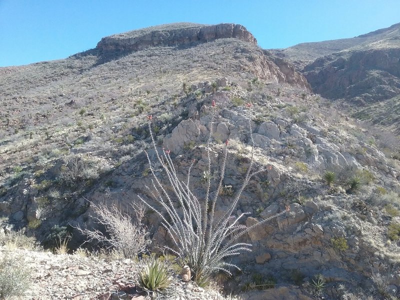 Looking east from the trail