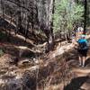 Ascending Marshall Gulch