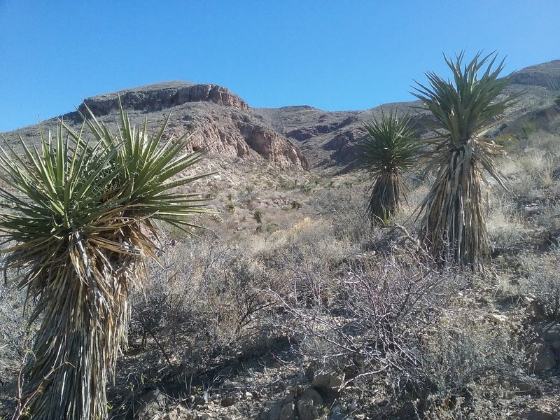 Looking east towards Mammoth Rock