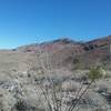 Looking NE towards North Franklin Mountain Peak