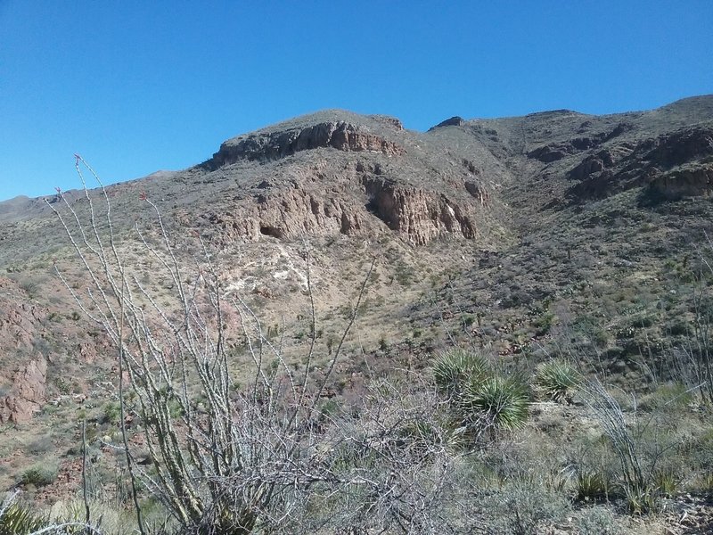 View of the arroyo and the Franklin Mountains