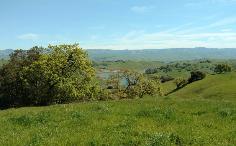 Calero Reservoir and the Diablo Range in the distance can be seen to the northeast from high on Vista del Oro Trail.