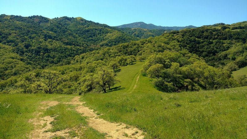 Loma Prieta, the highest of the Santa Cruz Mountains, is in the distance as Vista del Oro Trail drops down.