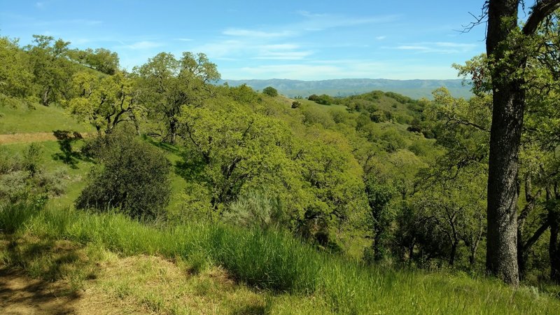 The Diablo Range can be seen in the distance to the northeast from Lisa Killough Trail.