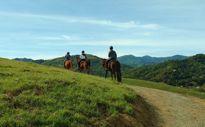 Horsies enjoying North Ridge Trail, its grass hills, and Santa Cruz Mountains in the distance.