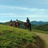 Horsies enjoying North Ridge Trail, its grass hills, and Santa Cruz Mountains in the distance.