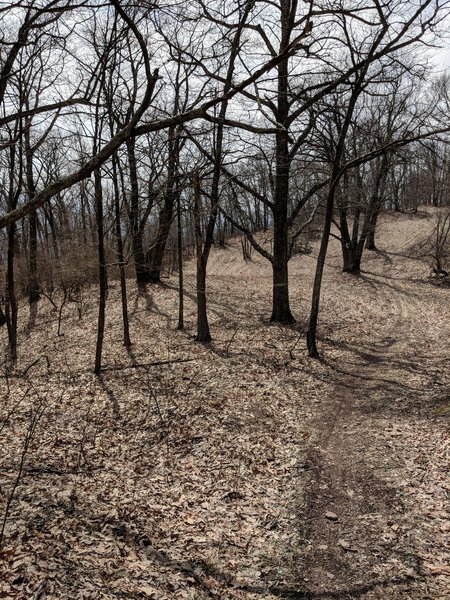 View of trail looking southwest