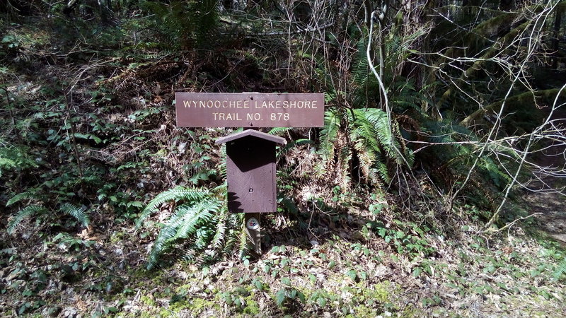 Trail marker near campground