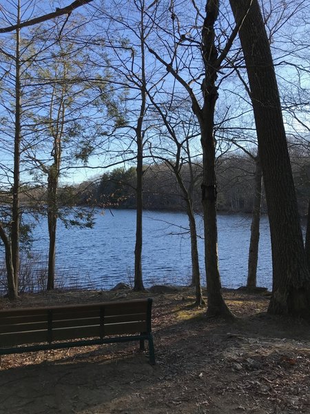 Lots of benches with great views around Spaulding Pond