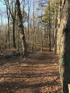 Well-maintained trails